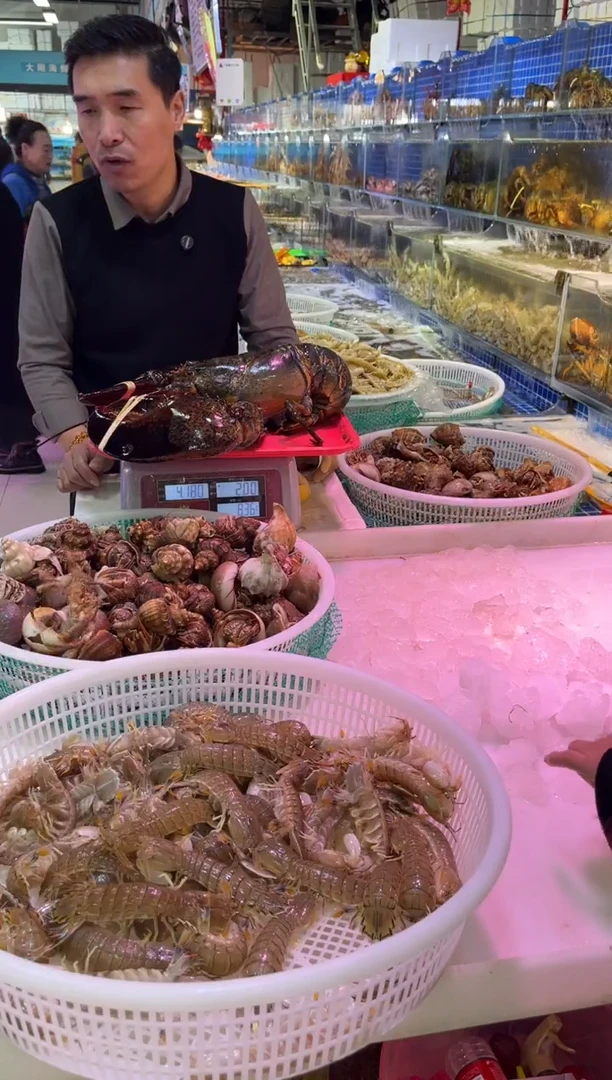 中国大陆弱氧波龙1只，8.3斤