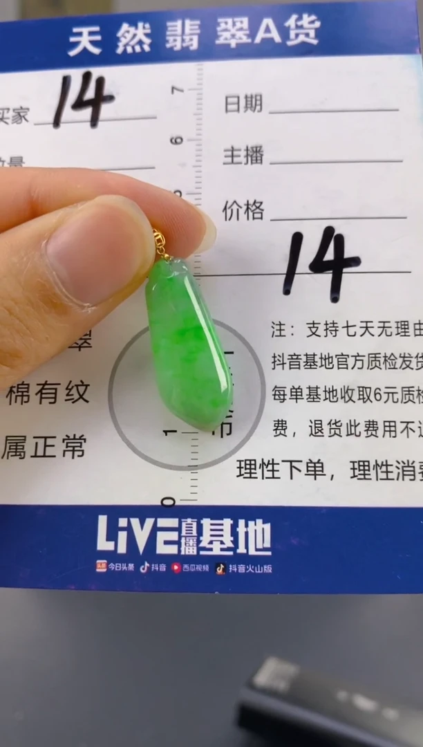 【闪购商品】翡翠颈饰18K金镶嵌天然A货翡翠