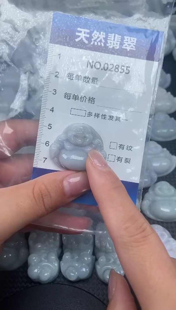 颈饰未镶嵌翡翠纯天然A货翡翠2855