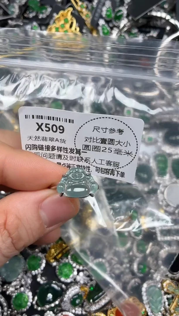 颈饰未镶嵌翡翠X509戒指
