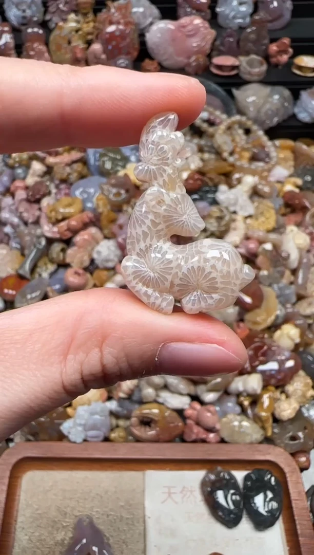 颈饰未镶嵌硅化珊瑚（珊瑚玉）555