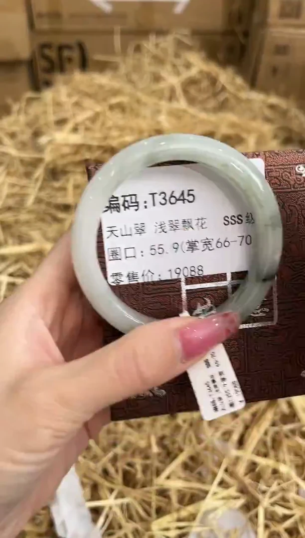未镶嵌手镯石英质玉T3645