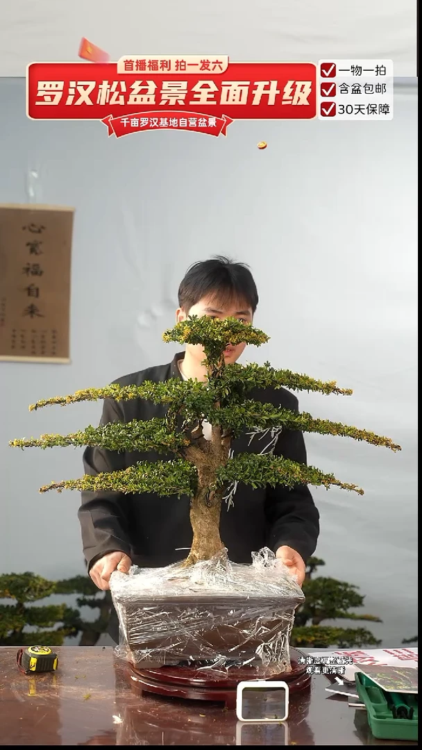 以实际为准0000000000000