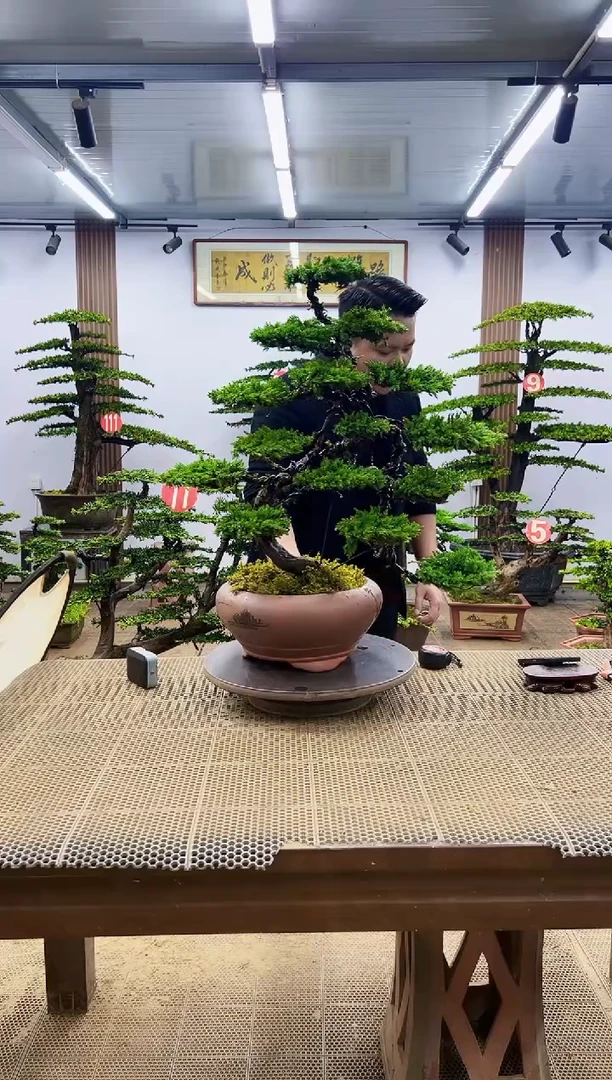 无花朵一物一拍，所见即所得