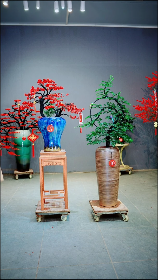 当前无花朵，栽培后可花朵阿*17号加10号换桌面盆一物一拍绿植