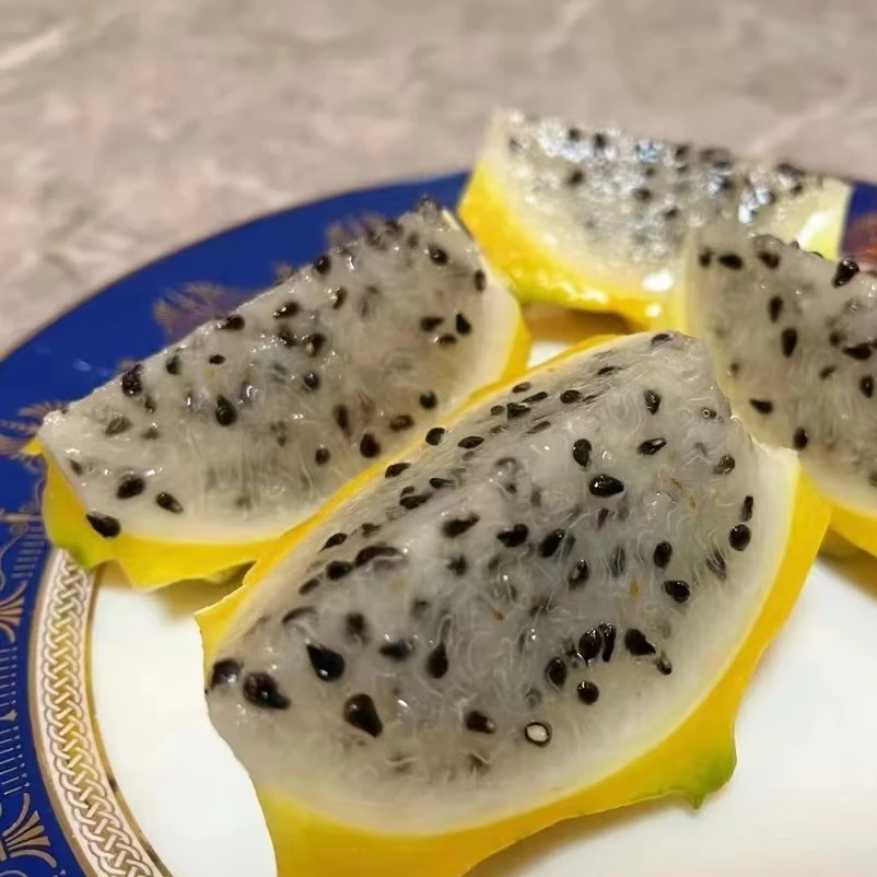 海南燕窝果一颗