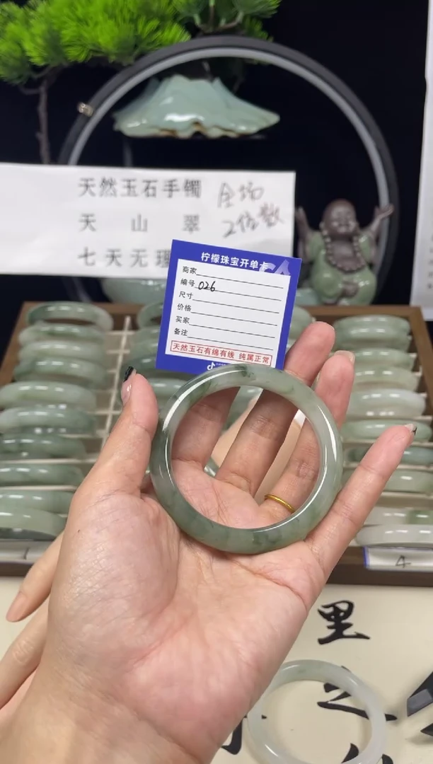 石英质玉（天山翠）手镯未镶嵌026