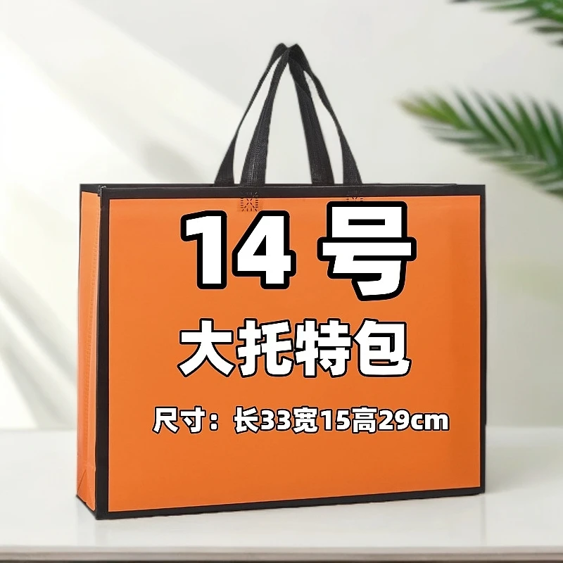 【14号】 BR 2025爆款单肩休闲气质大托特女包 B77020-9