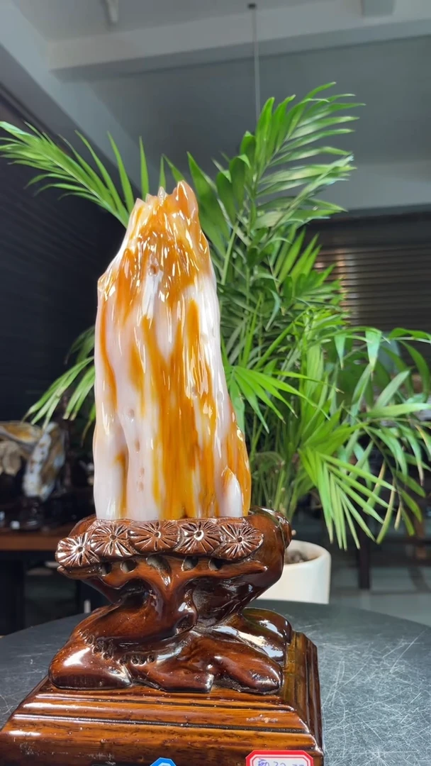 未镶嵌硅化玉（树化玉）珠宝奇石1956（带座高度32厘米）