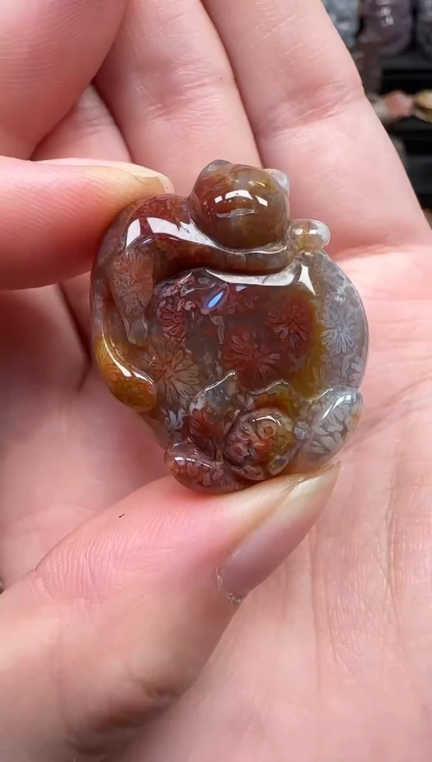 颈饰未镶嵌硅化珊瑚（珊瑚玉）587