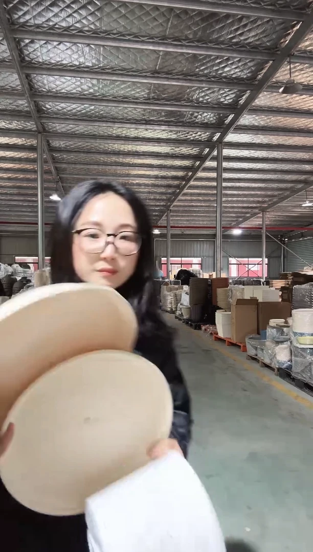 【闪购商品】塑料霍伦290底碟米兰黄6只装