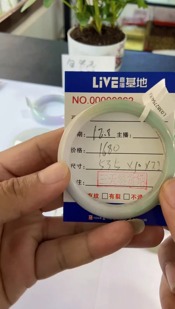 未镶嵌手镯翡翠1