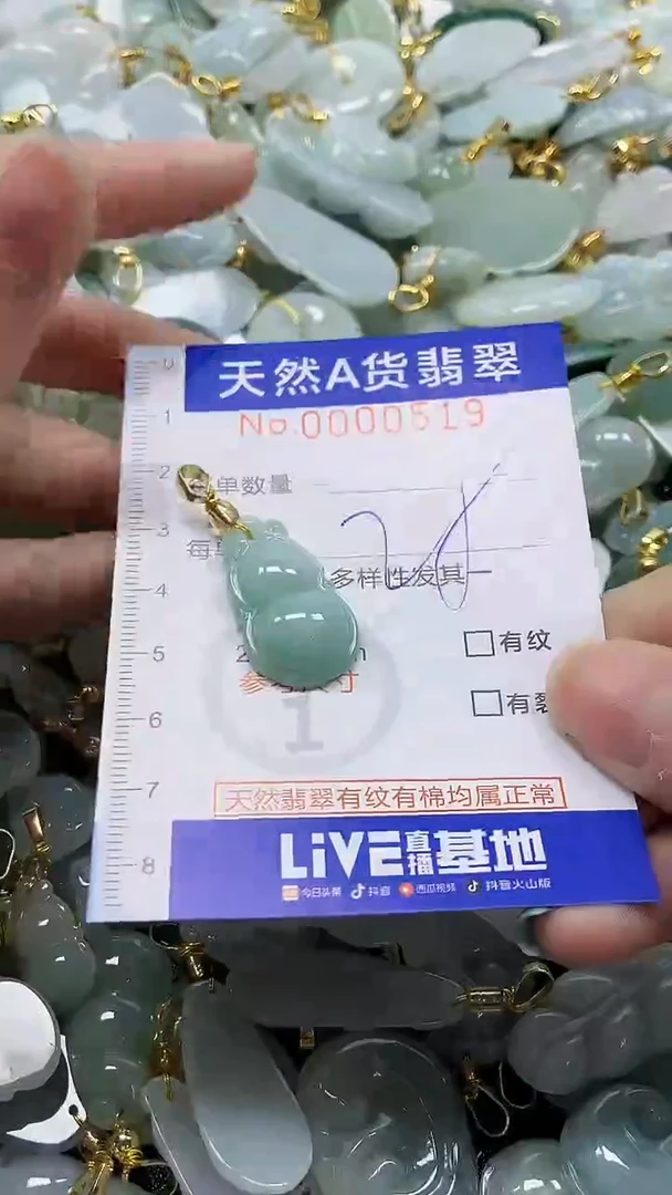 颈饰未镶嵌翡翠纯天然a货翡翠