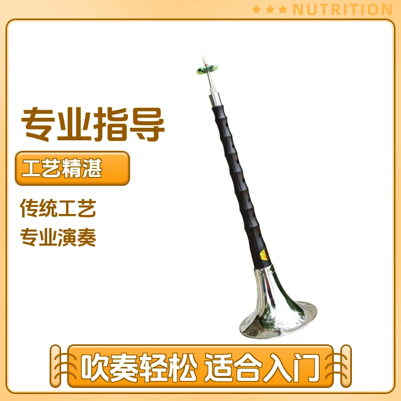 朝凤燕京唢呐初学练手神器专业黑檀乌木降b调花梨木d调专业唢呐