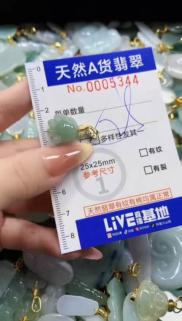 颈饰未镶嵌翡翠天然A货翡翠