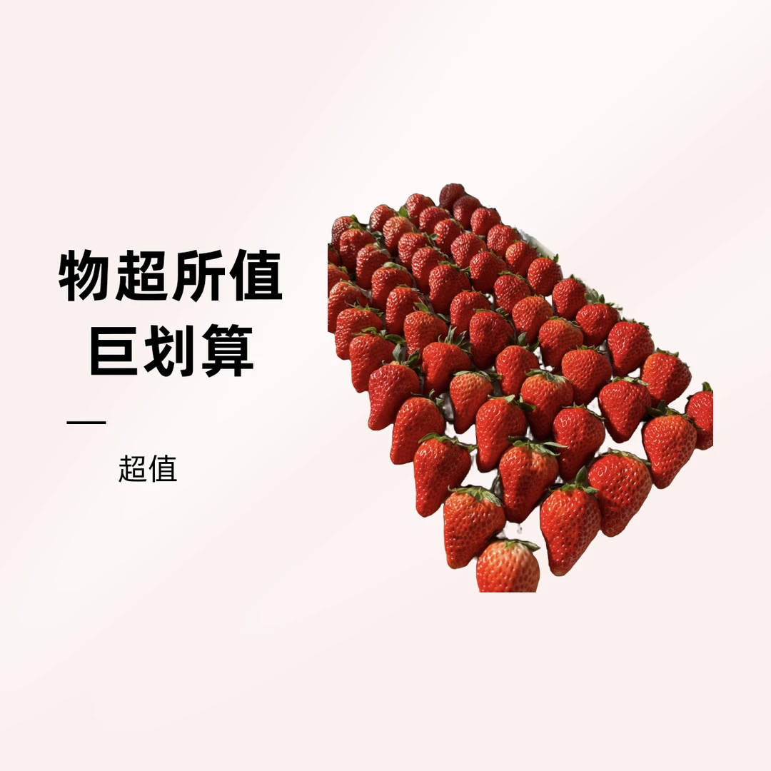 通用情人节礼盒 草莓
