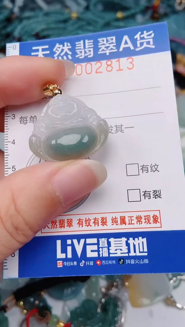 颈饰未镶嵌翡翠00002813