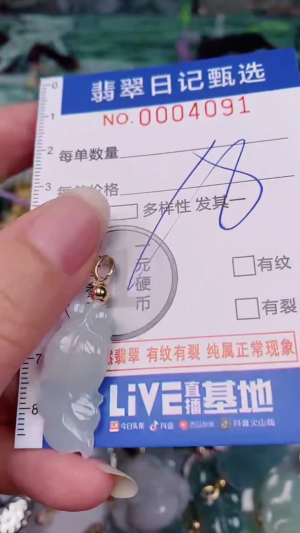 翡翠未镶嵌颈饰00004091