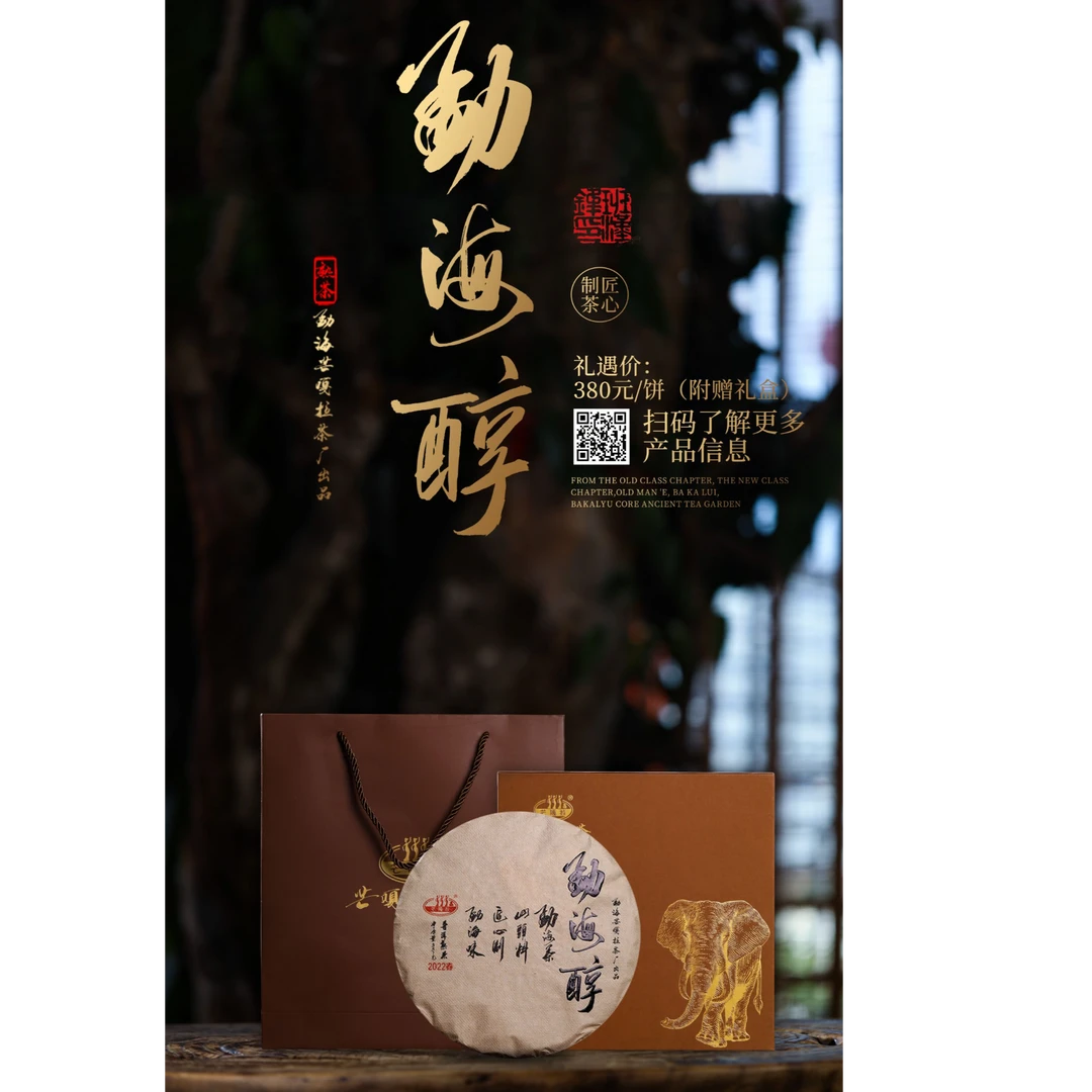 芒嘎拉古茶#勐海醇#古树熟茶