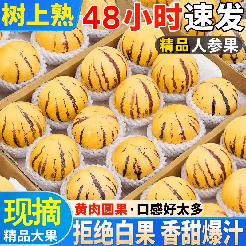 云南人参果黄肉黄心现摘当季新鲜水果孕妇特大果低糖整箱