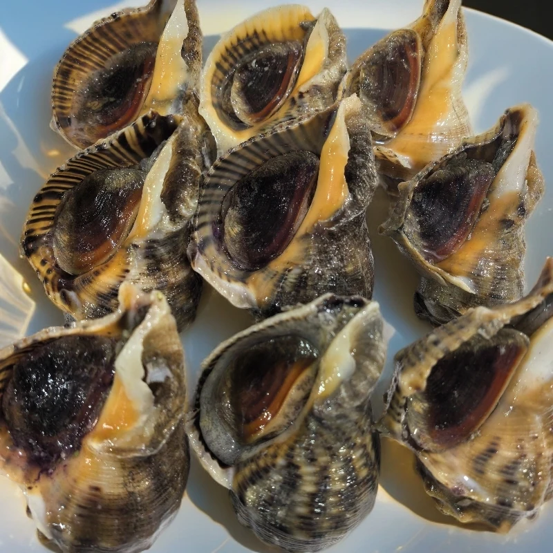 鲜活海螺一斤8-10个净重3/4斤，紫色粘液为正常现象介意勿拍