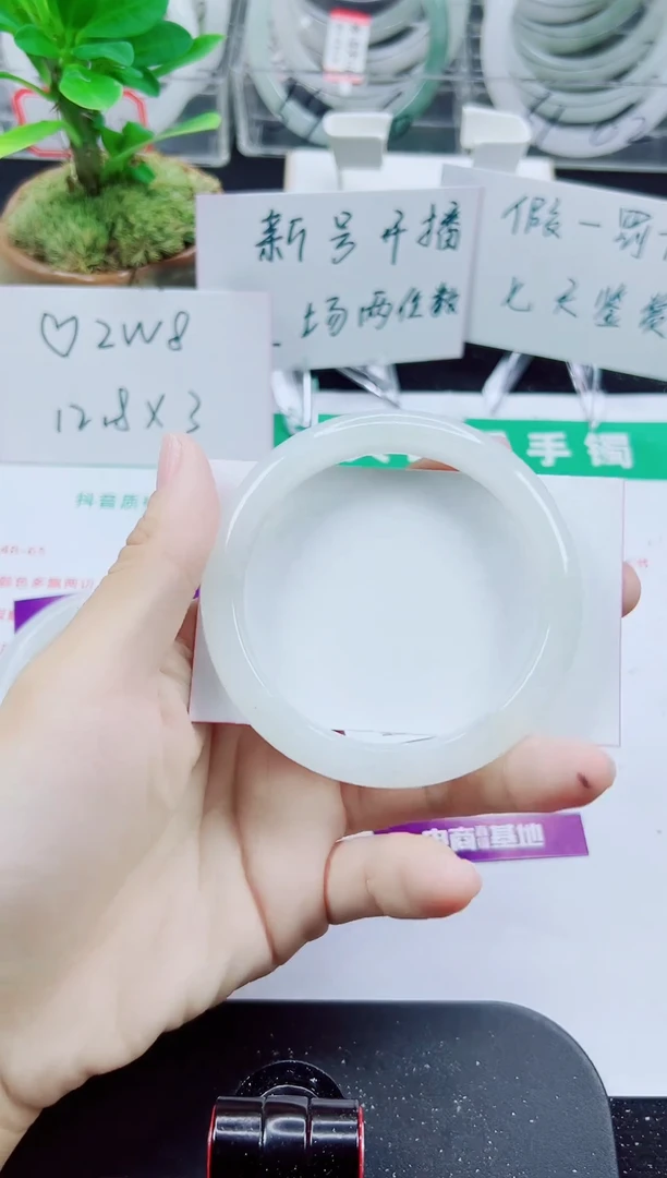 未镶嵌手镯石英质玉312-57/58