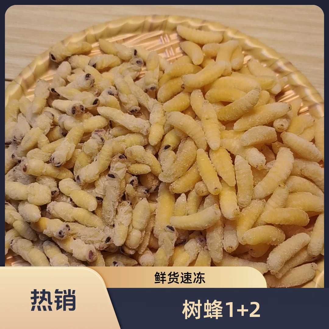 鲜活速冻1+2树蜂蜂蛹混合装新鲜直达顺丰包邮高蛋白美味精选品质