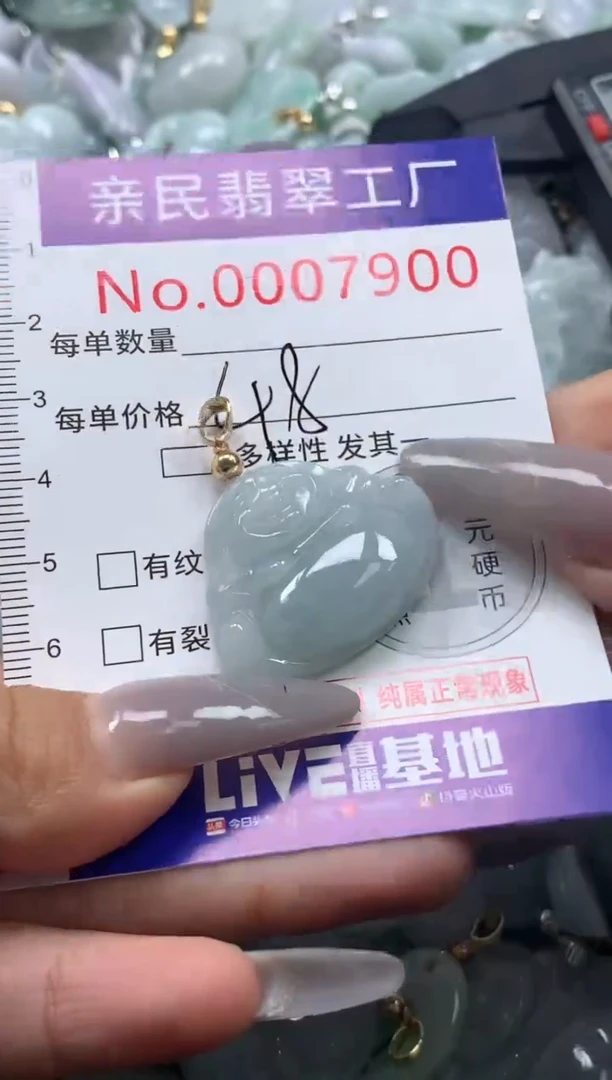 颈饰未镶嵌翡翠7900