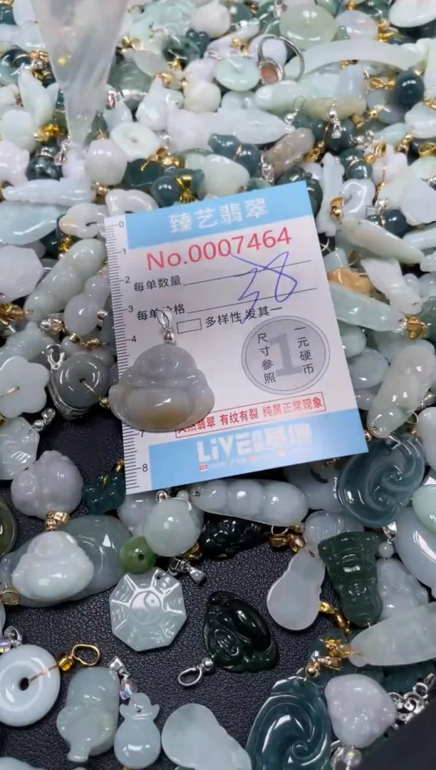 颈饰未镶嵌翡翠7464