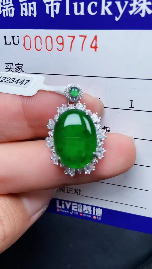 【闪购商品】翡翠颈饰银S925镶嵌9774