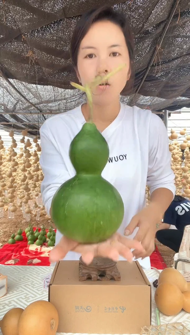 054天然葫芦摆件 一物一拍