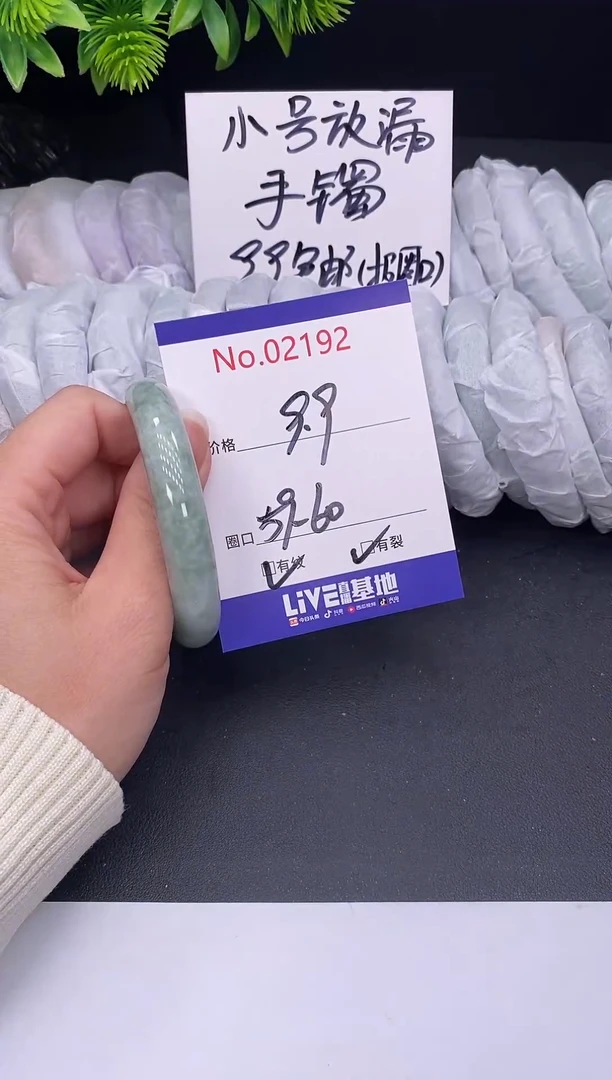 未镶嵌手镯翡翠2192