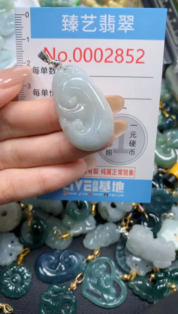 颈饰未镶嵌翡翠2852