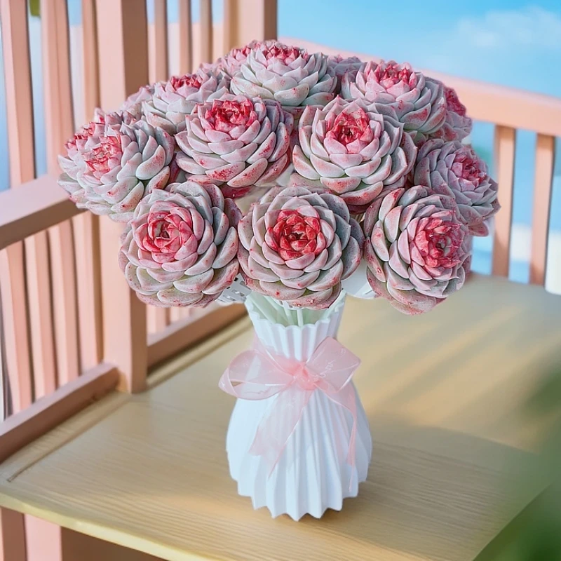 无土A级天鹅绒花束20支送礼办公室阳台好养易创意多肉直播链接