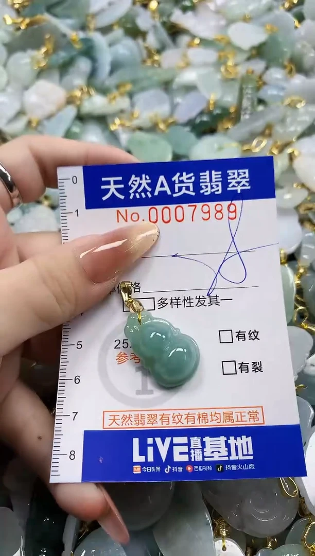 颈饰未镶嵌翡翠天然A货翡翠