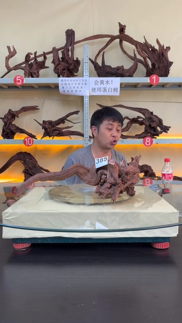 385云南紫釉 摆件 水族沉木料场直发 不需要煮 秒沉
