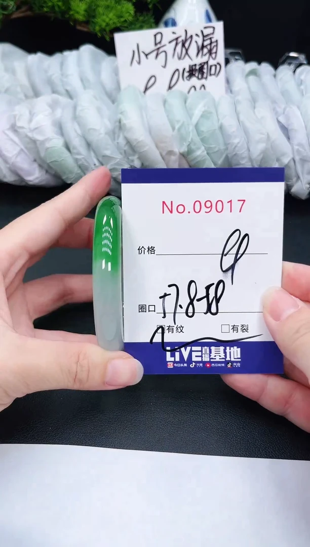 未镶嵌手镯翡翠9017