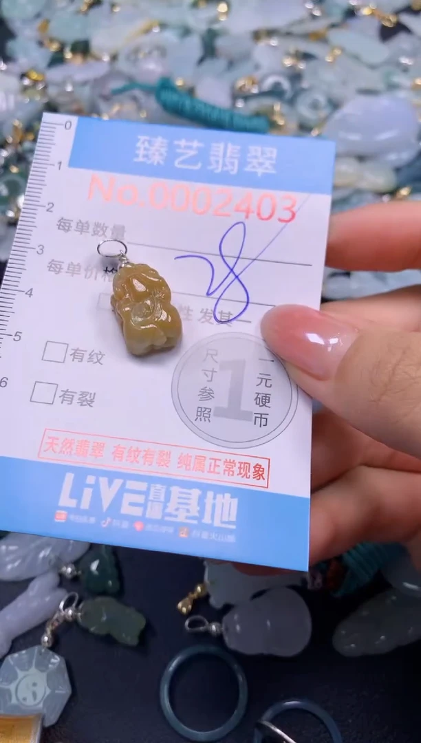 颈饰未镶嵌翡翠2403