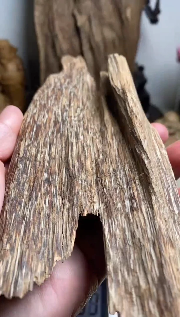 【闪购商品】沉香手把件老挝沉香原料70克