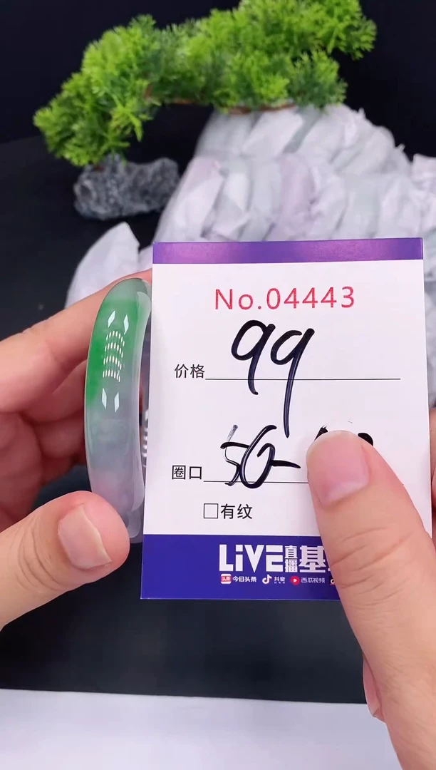 未镶嵌手镯翡翠4443