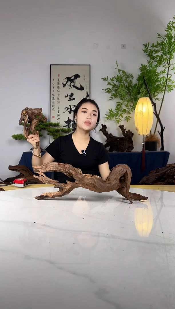 渔**娱拍这个定向编号100