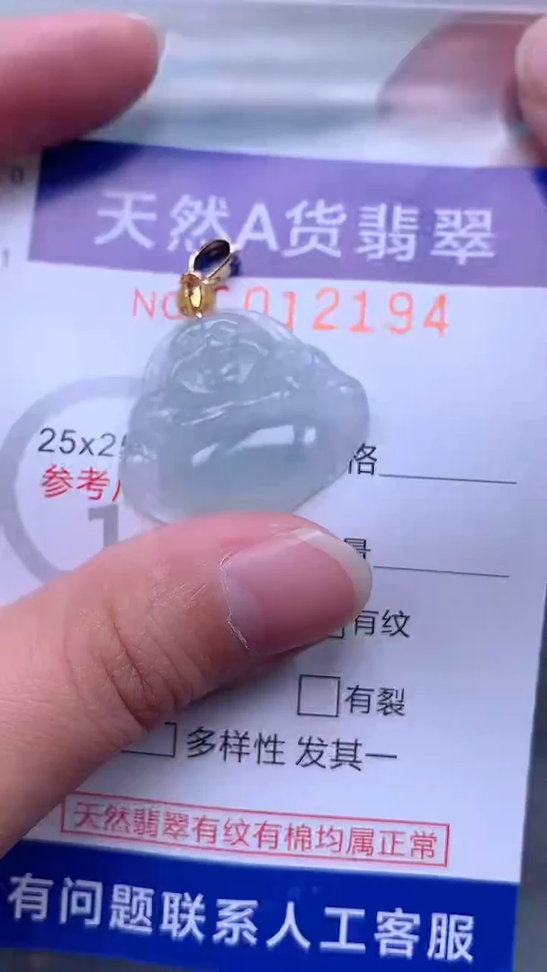 翡翠未镶嵌吊坠(不含链)1