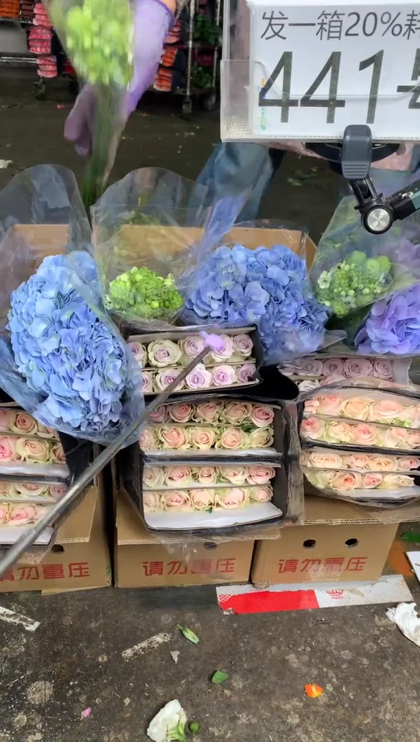 441号♥含20%耗损发一箱