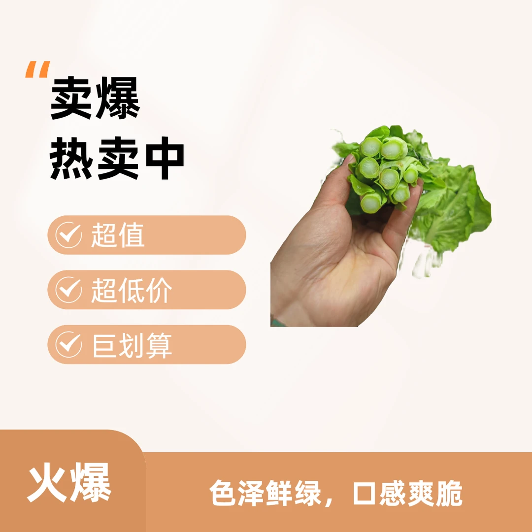 湖北山货生鲜南方湖南种子白菜苔农家新鲜蔬菜