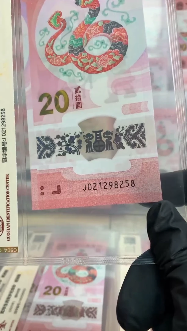 【闪购商品】塑料蛇钞 真钞【单张】8258