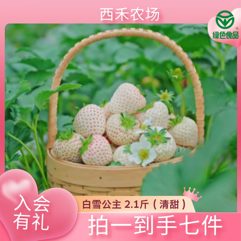 【西禾白雪公主】全国可发 口感独特新鲜2.1斤坏果包赔包邮