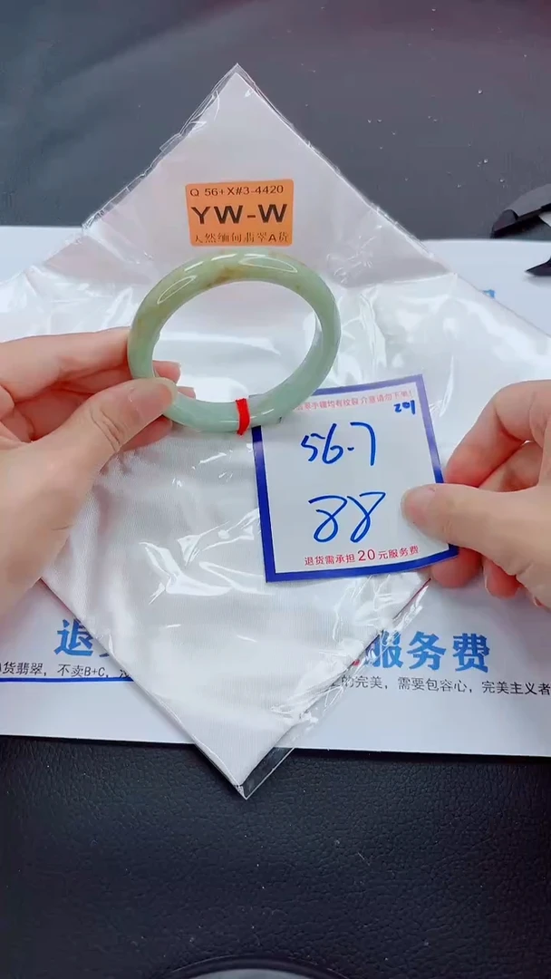 未镶嵌手镯翡翠11111111