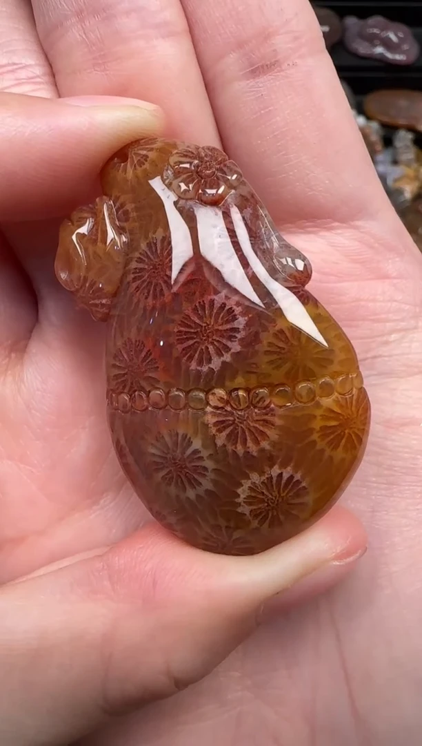 颈饰未镶嵌硅化珊瑚（珊瑚玉）655