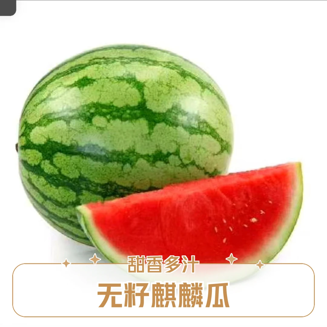 无籽麒麟西瓜整个约10斤江苏省