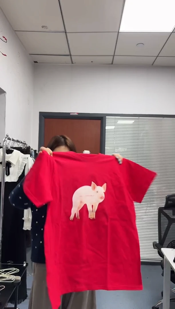 恐龙阿姨闪购商品：红色T恤  L码